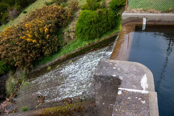 İçinden su akan küçük bir gölet. Şelalenin bir parçası. Arka planda taze bahar yeşilliği. Levada das 25 fontes Rabacal, Paul da Serra, Madeira, Portekiz