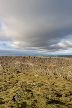 Sonbaharda güneşli bir günde yosun ve yosunla kaplı olan lav tarlası. Grindavik, İzlanda.