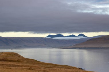 Sonbahar otlarının sarı rengi. Fiyortta sakin bir su. Arka planda sis olan dağlar. Gün batımında bulutlu gökyüzü. Akrafjall, İzlanda.