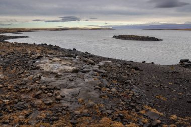 Fiyort Hvammsfjordur 'un sakin suyu. Volkanik taşlar ve kayalar, sonbahar sarısı otlarla birlikte. Bulutlu sonbahar gökyüzü. Snaefellsnes, Batı İzlanda.