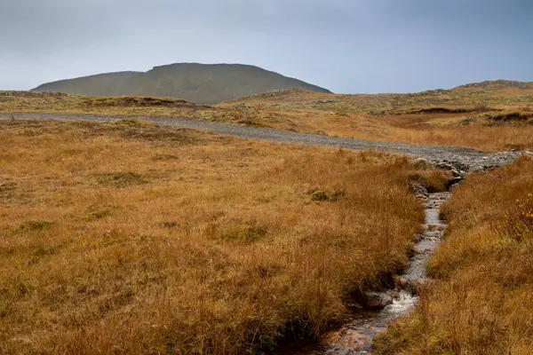 Sonbahar ülkesinde küçük bir nehir. Araziyi kaplayan sarı çimenler ve bulutlu gökyüzü. Arka plandaki dağ. Laxa i Kjos, Batı İzlanda.