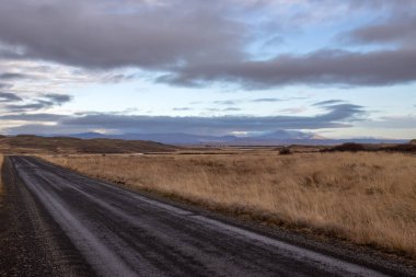 Sarı yüksek sonbahar otlarıyla kaplı siyah volkanik çakıl yolu. Arka planda dağlar. Bulutlu gökyüzü. Hvanneyri Bölgesi, Batı İzlanda.