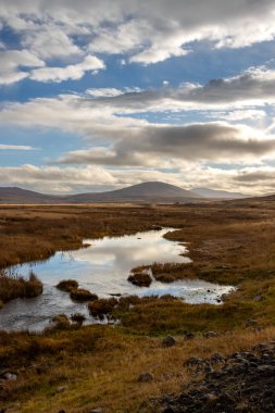Sonbaharda manzaralı İzlanda doğası. Nehirdeki bulutlu gökyüzünün yansıması, sarı çimlerle çevrili. Arka planda dağlar. Lundur, Batı İzlanda.