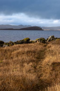 Volkanik kayalar ve sarı otların karışımı ile çevrili gölün sakin suları, arka planda dağ. Bulutlu yağmurlu gökyüzü. Şeyler tuvaleti, İzlanda.