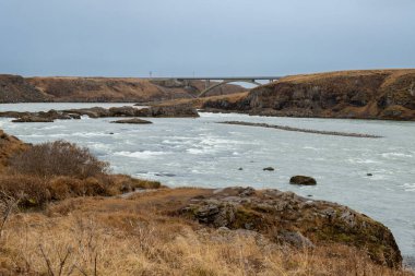 Waterfall in a valley on a river. Many volcanic rocks inside. Banks covered by autumn yellow grass. Urridafoss, Iceland. clipart