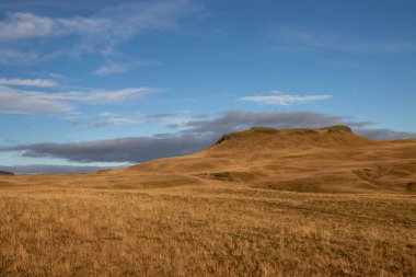 Dağlar yosun, ot ve liken ile kaplıdır. Sonbaharda güneşli güzel bir gün, altın otların rengini parlatıyor. Fjadra nehri bölgesi, Güney İzlanda, Kirkjubaejarklaustur yakınlarında..