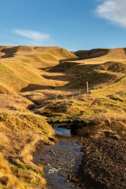 Dağlar yosun, ot ve liken ile kaplıdır. Sonbaharda güneşli güzel bir gün, altın otların rengini parlatıyor. Fjadra nehri bölgesi, Güney İzlanda, Kirkjubaejarklaustur yakınlarında..