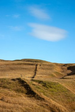 Dağlar yosun, ot ve liken ile kaplıdır. Sonbaharda güneşli güzel bir gün, altın otların rengini parlatıyor. Fjadra nehri bölgesi, Güney İzlanda, Kirkjubaejarklaustur yakınlarında..