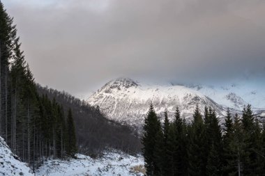 Karla kaplı bir dağ. Ön planda kozalaklı orman. Sonbaharın sonlarında gökyüzünde yoğun bulutlar. Nupen, Harstad, Norveç.