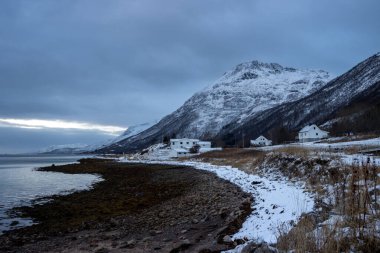 Norveç Denizi kıyısında sahili var. Arka plandaki dağ. Karla kaplı topraklar. Sonbaharın sonunda bulutlu bir gökyüzü. Kongsvika, Norveç.