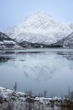 Norveç Denizi kıyısında. Arka planda dağlar. Karla kaplı topraklar. Sonbaharın sonunda bulutlu bir gökyüzü. Vestbygd, Norveç.