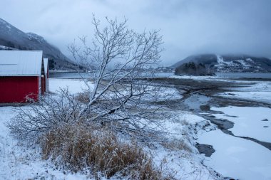 Norveç denizinin kıyısındaki kırmızı ahşap kulübeler. Çatı ve sonbaharın sonlarında karla kaplı arazi. Arka plandaki dağ. Bulutlu gökyüzü. Liland, Norveç.
