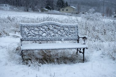 Kış sonlarında, kar yağışlı bir günde karla kaplı, doğada süslü metal bir bank. Liland, Norveç.