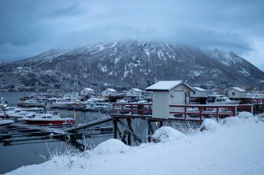 Birçok teknesi olan yatlar için liman, sonbaharın sonlarında kış havasında orada demirlemiş. Kar yağışlı bir gün. Narvik, Norveç.