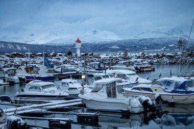 Birçok teknesi olan yatlar için liman, sonbaharın sonlarında kış havasında orada demirlemiş. Kar yağışlı bir gün. Narvik, Norveç.