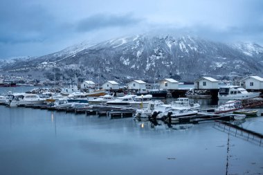 Birçok teknesi olan yatlar için liman, sonbaharın sonlarında kış havasında orada demirlemiş. Kar yağışlı bir gün. Narvik, Norveç.