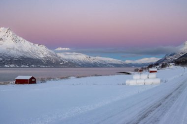 Fiyort kıyısındaki kırmızı kulübeler (Norveç denizi). Arka planda karla kaplı bir dağ. Kısa bir Kuzey Kutbu sonbahar gününün akşamında açık pembe bir gökyüzü. Tennevoll, Norveç.