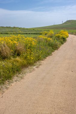 Tozlu yol bir demet yabani çiçekle kaplı. Yeşil alanlar. Küçük tepe. Baharda beyaz bulutlu mavi gökyüzü. Salemi bölgesi, Sicilya, İtalya 'nın merkezi..