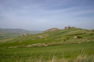 Tepesinde kayalar olan parlak yeşil bir arazi. Mavi gökyüzü ve ışık bulutları. Otlaktaki siyah at. Adanın merkezi, Corleone bölgesi - Prizzi, Sicilya, İtalya.