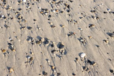Kumsaldaki küçük çakıl taşları. Deniz suyundan akmanın görünür yolları var. Kumda doku oluşturuyorlar. Akşam güneşi ışığı. Villafranca, Sicilya, İtalya.