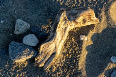Sahildeki soyut manzara. Kumun koyu rengi. Gün batımında altın rengi bir dokunuşla odun parçalarını temizlemiş. Spadafora, Sicilya, İtalya.
