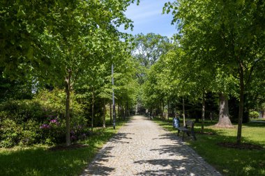 Güneş ışığıyla aydınlatılmış yol, kaldırım taşlarından yapılmış. Taze yeşillik baharda kaplar. Ağaçlar, çalılar ve çimenler. Beyaz bulutlu mavi gökyüzü. Park yeri Zabreh, Moravya (Morava), Çek Cumhuriyeti.
