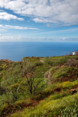 Wild nature covering the surface of the mountain and cliff. View on the Atlantic ocean. Blue sky with white clouds. Santa Maria Magdalena, Madeira, Portugal. clipart