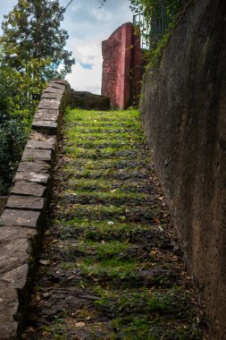 Tepedeki eski merdivenler, eski yapraklar ve taze çimlerle kaplı. Çitin pembe kısmı. Bulutlu gökyüzü. Funchal, Madeira, Portekiz.