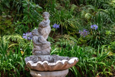 Melek heykeli olan eski bir çeşme. Etrafta taze yeşillik var. Tropik botanik bahçesi Monte Sarayı, Funchal, Madeira, Portekiz.