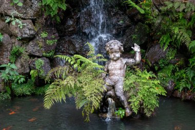 Çeşmedeki eski bir melek heykeli. Taze yeşil eğrelti otları. Tropik botanik bahçesi Monte Sarayı, Funchal, Madeira, Portekiz.