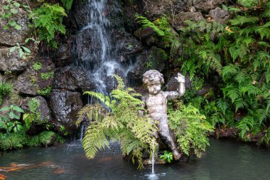 Çeşmedeki eski bir melek heykeli. Taze yeşil eğrelti otları. Tropik botanik bahçesi Monte Sarayı, Funchal, Madeira, Portekiz.