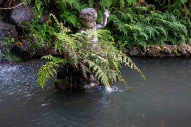 Çeşmedeki eski bir melek heykeli. Taze yeşil eğrelti otları. Tropik botanik bahçesi Monte Sarayı, Funchal, Madeira, Portekiz.