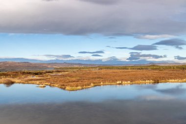 Sonbahar manzarası, altın kuru otlar ve gökyüzünü yansıtan bir nehir. Arkasında kar olan buzul dağları. Beyaz bulutlu mavi gökyüzü. Kudafljot, İzlanda.