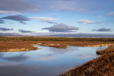 Sonbahar manzarası, altın kuru otlar ve gökyüzünü yansıtan bir nehir. Arkasında kar olan buzul dağları. Beyaz bulutlu mavi gökyüzü. Kudafljot, İzlanda.