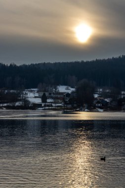 Göldeki ördek (baraj) Lipno. Kış akşamının erken saatlerinde sakin bir su. Gökyüzü güneşli ve yansıması gölün yüzeyinde. Horni Plana, Çek repbulik.