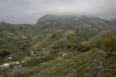 Adanın orta kesimindeki bir dağın manzarası. Taze yeşillik ve birkaç ev. Bulutların arasındaki dağın zirvesi. Lomo la Vega, Las Palmas, Gran Canaria, Kanarya Adaları, İspanya.
