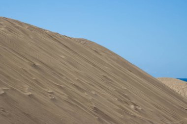 Kışın altın kum tepeleri ve mavi bir gökyüzü. Dunas de Maspalomas, San Bartolome de Tirajana, Las Palmas, Gran Canaria, Kanarya Adaları, İspanya.