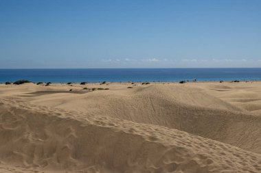 Atlantik Okyanusu 'nun altın kum tepeleri ve sakin mavi suları. Kışın mavi gökyüzü. Dunas de Maspalomas, San Bartolome de Tirajana, Las Palmas, Gran Canaria, Kanarya Adaları, İspanya.