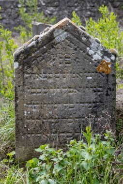 Bahar taze doğasıyla çevrili terk edilmiş küçük bir Yahudi mezarlığında eski, yıpranmış taş bir mezar taşı. Trstin, Slovakya Cumhuriyeti.