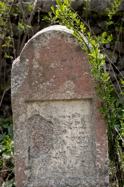 Bahar taze doğasıyla çevrili terk edilmiş küçük bir Yahudi mezarlığında eski, yıpranmış taş bir mezar taşı. Trstin, Slovakya Cumhuriyeti.