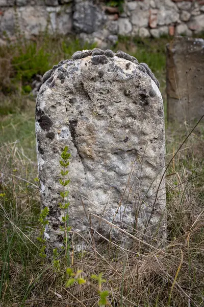 Bahar taze doğasıyla çevrili terk edilmiş küçük bir Yahudi mezarlığında eski, yıpranmış taş bir mezar taşı. Trstin, Slovakya Cumhuriyeti.