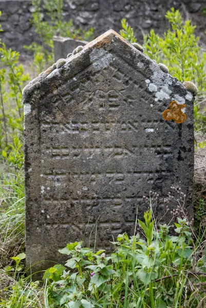 Bahar taze doğasıyla çevrili terk edilmiş küçük bir Yahudi mezarlığında eski, yıpranmış taş bir mezar taşı. Trstin, Slovakya Cumhuriyeti.