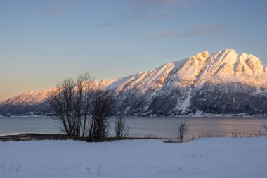 Arka planda doğa ve yüksek dağlar, sonbaharın sonlarında her şey karla kaplıydı. Güneş doğarken renkli kar yağar. Mavi gökyüzü. Hamnvik, Norveç.