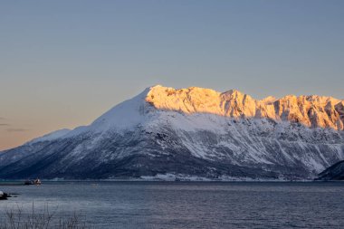 Arka planda doğa ve yüksek dağlar, sonbaharın sonlarında her şey karla kaplıydı. Norveç denizinin sakin suları. Güneş doğarken altın tepeler. Mavi gökyüzü. Hamnvik, Norveç.