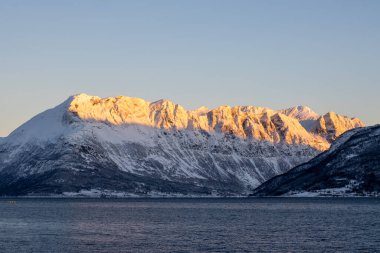 Arka planda doğa ve yüksek dağlar, sonbaharın sonlarında her şey karla kaplıydı. Norveç denizinin sakin suları. Güneş doğarken altın tepeler. Mavi gökyüzü. Hamnvik, Norveç.