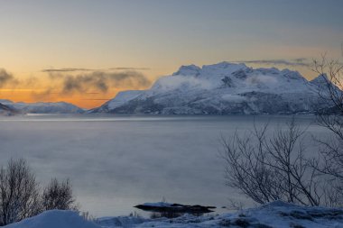 Arka planda doğa ve dağlar, sonbaharın sonlarında her şey karla kaplıydı. Norveç denizinin sakin suları. Kutup günbatımında renkli bir gökyüzü. Ön planda ağaçlar. Loksebotn, Norveç.