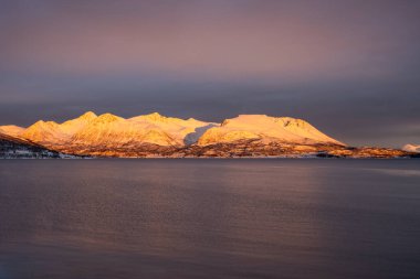 Norveç denizinin sakin suları. Karla kaplı dağlar, kutup gündoğumunda parlak sarı renkler. Renkli gökyüzü. Harstad, Norveç.