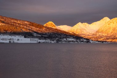 Norveç denizinin sakin suları. Karla kaplı dağlar, kutup gündoğumunda parlak sarı renkler. Renkli gökyüzü. Harstad, Norveç.