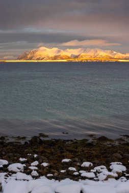 Norveç denizinin sakin suları. Ufukta kar görünen dağlar güneş ışığıyla aydınlanır. Güneşin doğuşunda renkli bulutlu bir gökyüzü. Tjeldevika, Grytoya, Norveç.