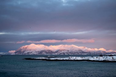 Yarımadası olan Norveç denizi, ufuktaki kuzey kutbu sonbaharında karla kaplı dağlar. Gün batımında güçlü pembe tonları olan renkli bir gökyüzü. Lundenes, Grytoya, Norveç.